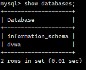 show databases