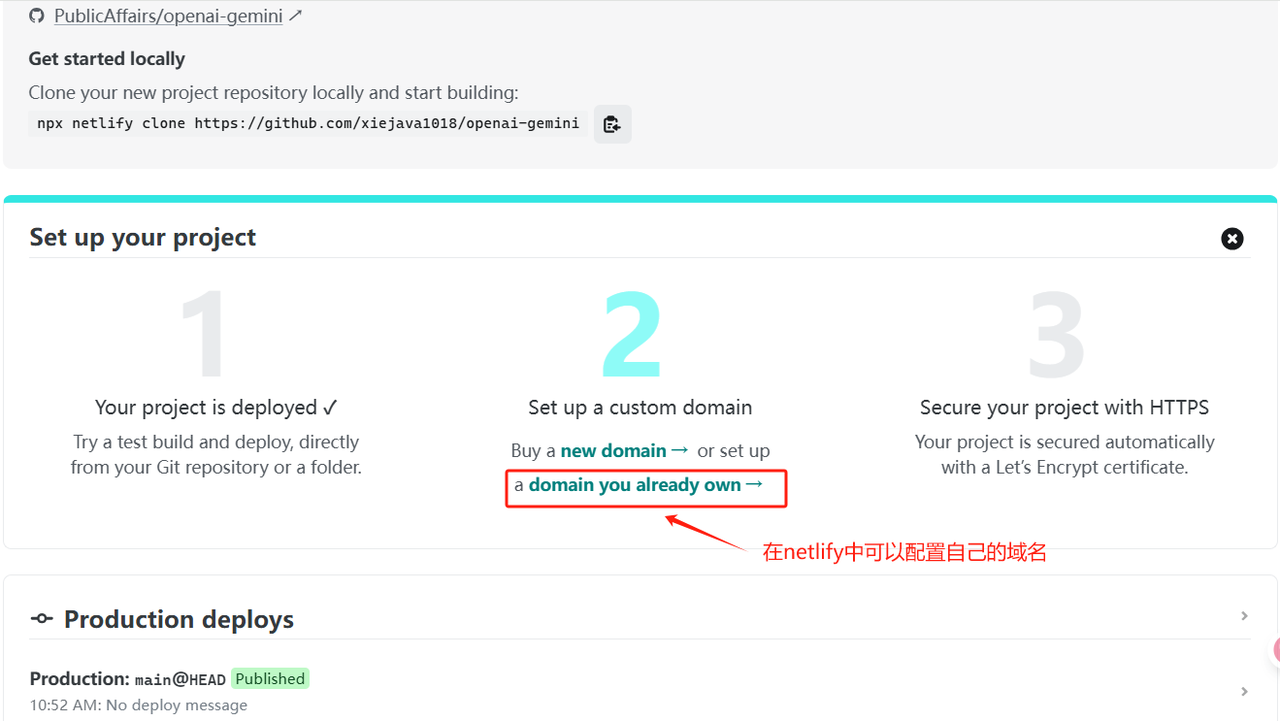 在netlify中配置自己的域名