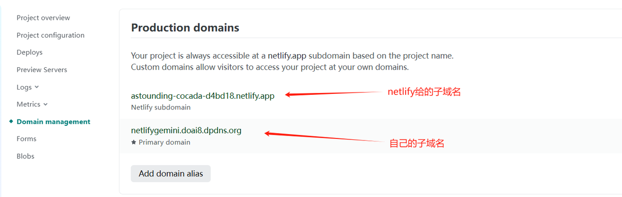 自定义域名配好